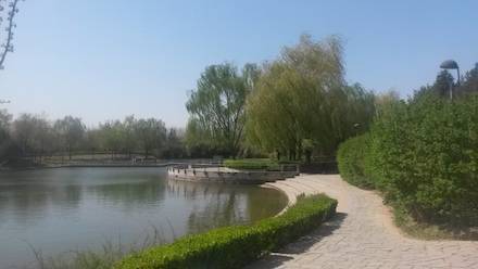 china complex lake